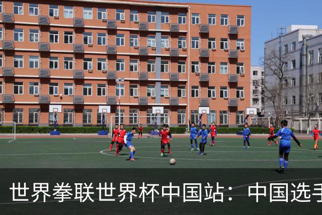 世界拳联世界杯中国站：中国选手斩获5金